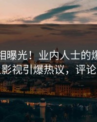 清晨真相曝光！业内人士的爆料事件在人人影视引爆热议，评论数破万