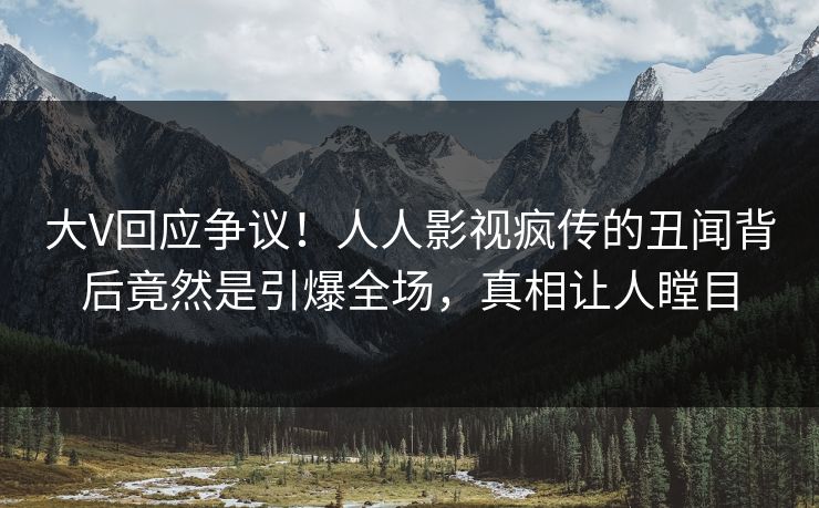 大V回应争议！人人影视疯传的丑闻背后竟然是引爆全场，真相让人瞠目