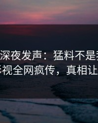当事人深夜发声：猛料不是我干的！人人影视全网疯传，真相让人瞠目