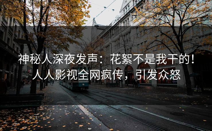 神秘人深夜发声：花絮不是我干的！人人影视全网疯传，引发众怒