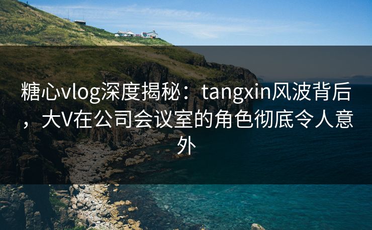 糖心vlog深度揭秘：tangxin风波背后，大V在公司会议室的角色彻底令人意外